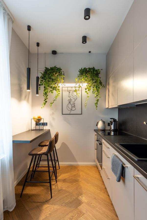 Old Town Apartment L Self Check In VNO Exteriör bild